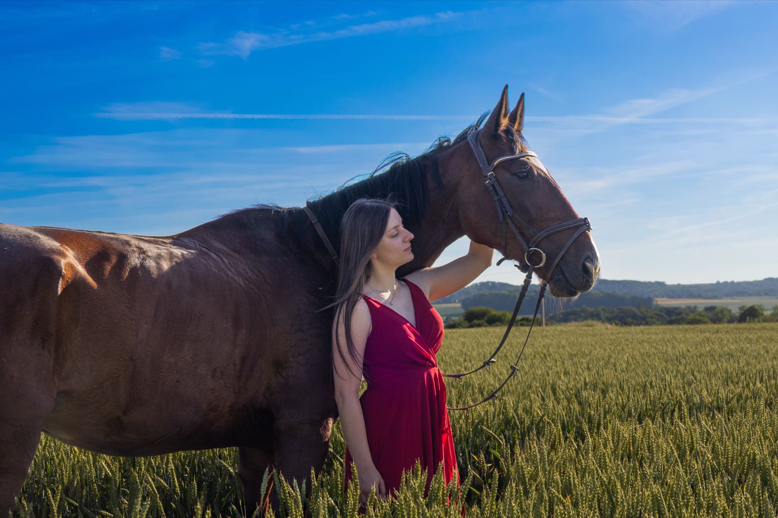 Shooting Cheval vue horizontale