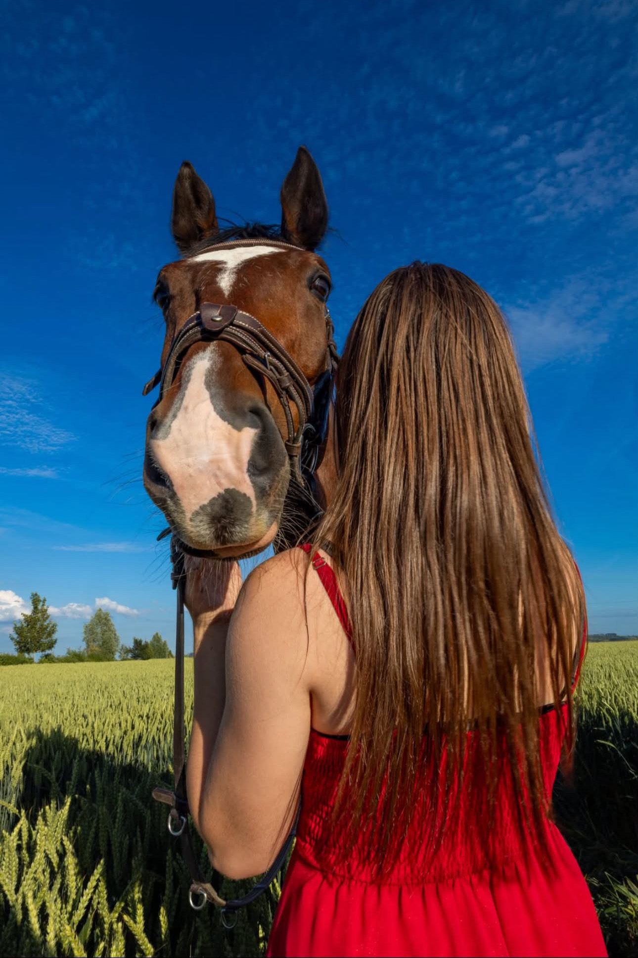 Shooting Cheval portrait vertical