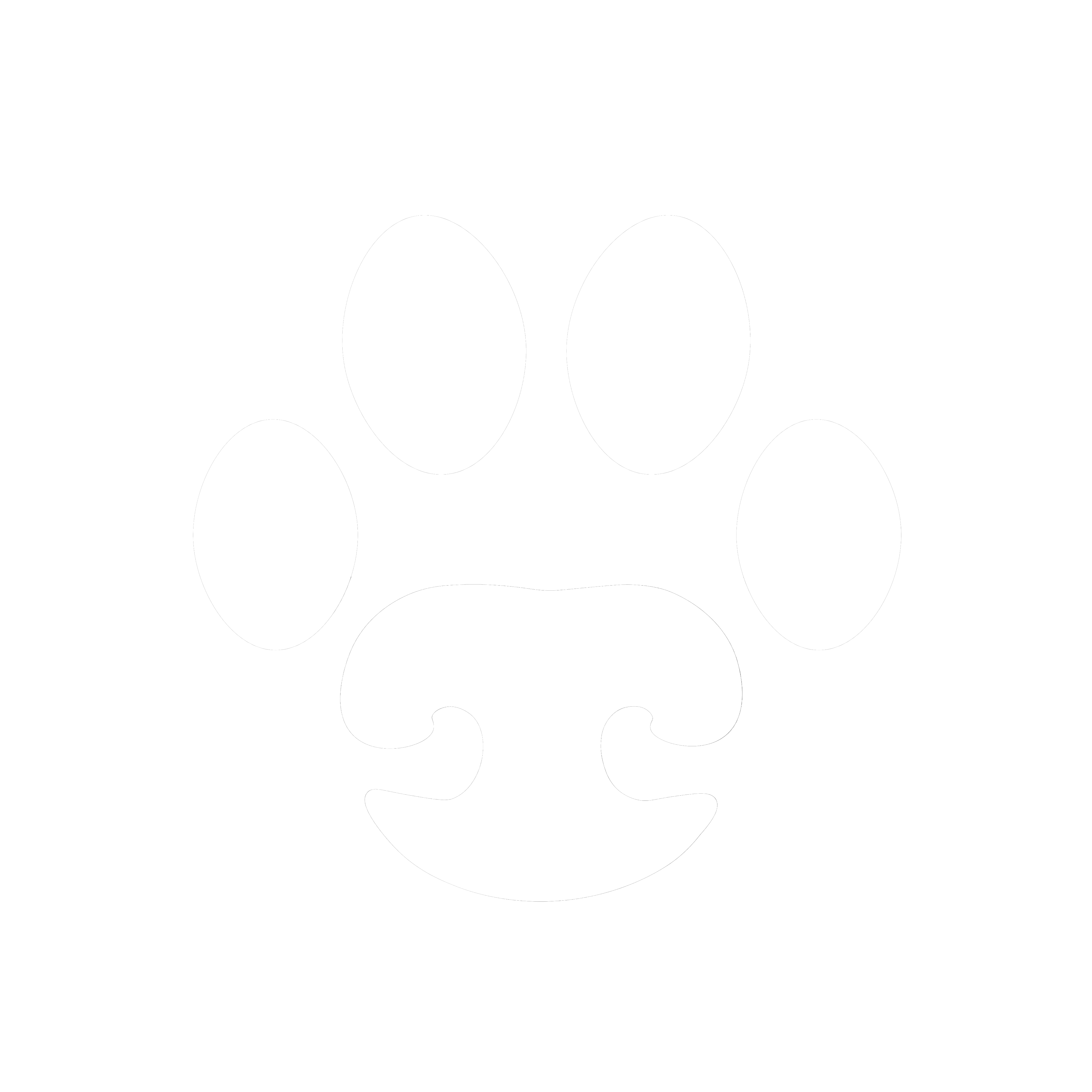 Animaux de compagnie